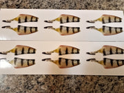 ONEIDA LAKE CUSTOM PRINTED FORAGE MINNOW BLADE BAIT DIE CUTS 6 PAIR BABY PERCH